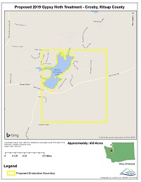 Basic map of Crosby site