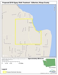 Basic map of Gilberton site