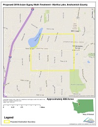 Basic map of Martha Lake site