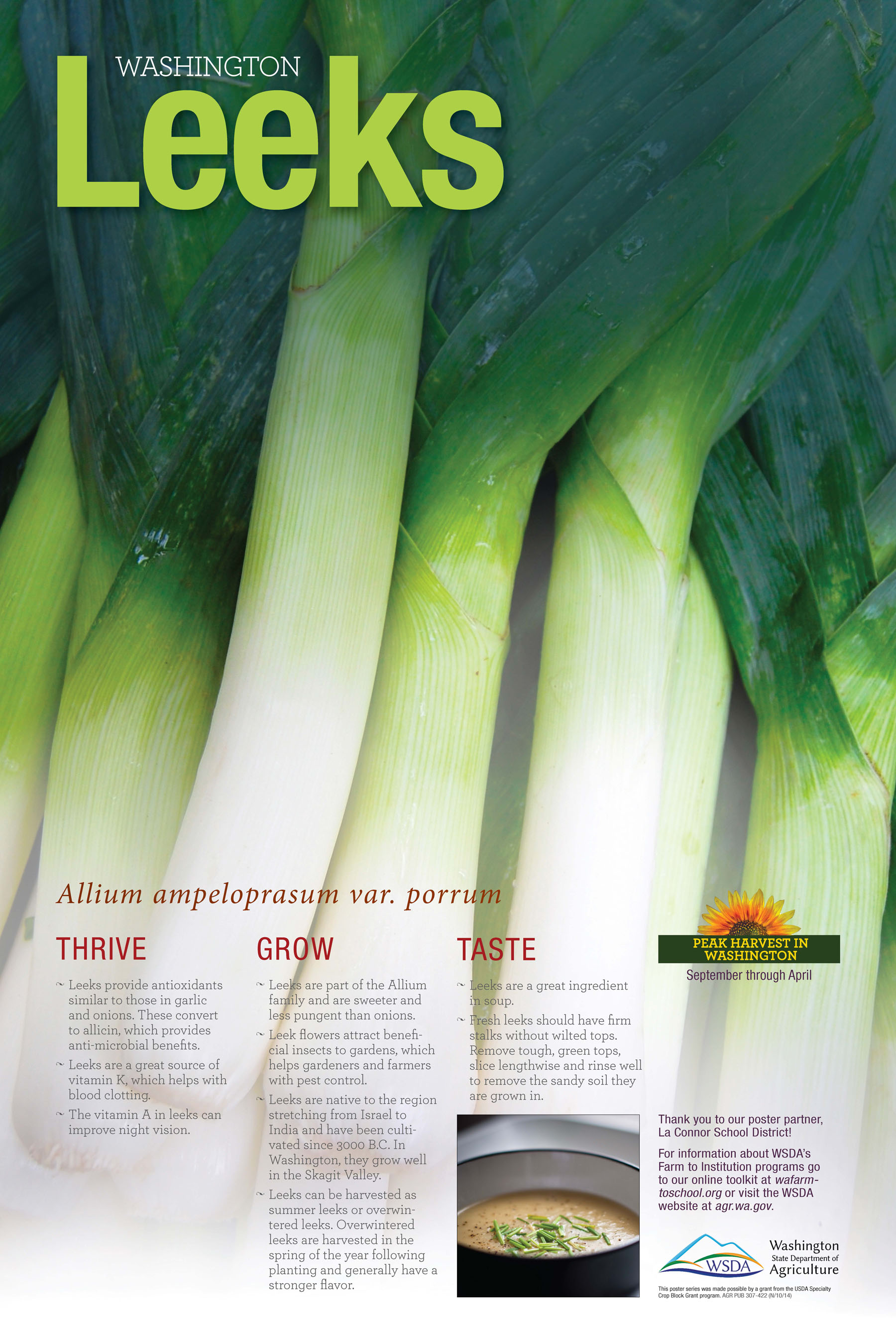 WA Harvest Leek Poster