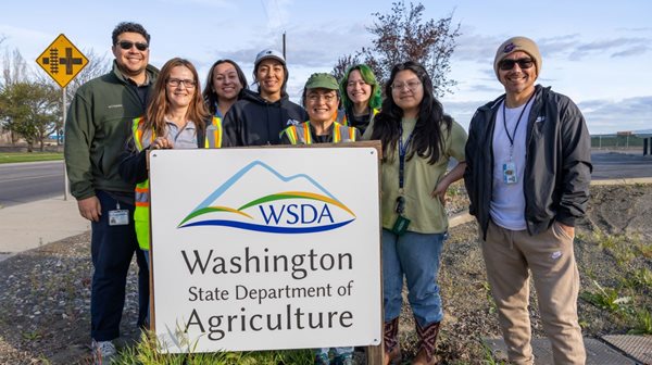 WSDA Japanese beetle team