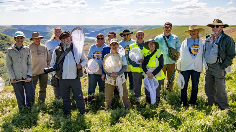 Washington Bee Atlas volunteers on the top of a hill overlooking the Snake River
