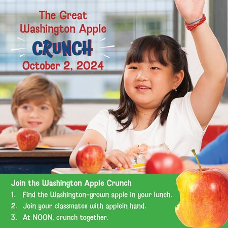 Washington Apple Crunch 2024