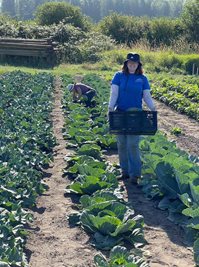 Farmer holds crate of produce in field.