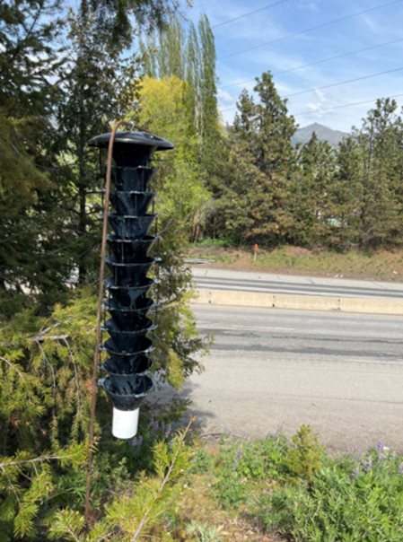 multi level black funnel trap