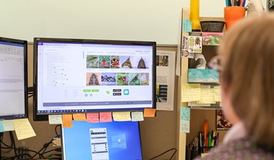 WSDA scientist works on a computer.