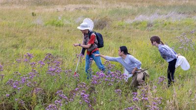 three people in a field with insect nets