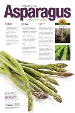 WA Harvest Asparagus Poster