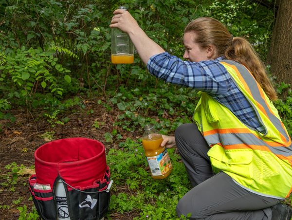 woman with bottle of orange juice and hornet trap in the forest