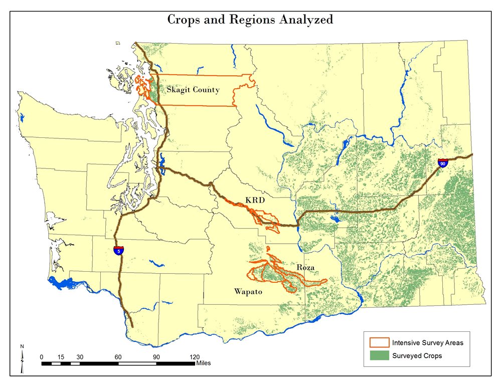 Drought Impacts | Washington State Department of Agriculture