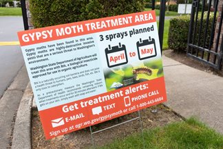 gypsy moth treatment sign