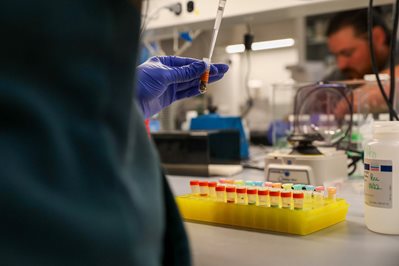 WSDA scientist uses pipette.