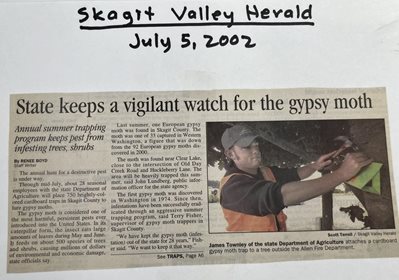 spongy moth news article Skagit Valley Herald July 5, 2002