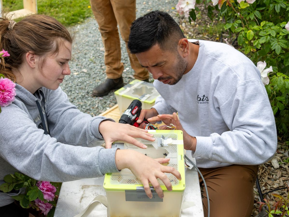 researchers set monitors on bumble bee colony box