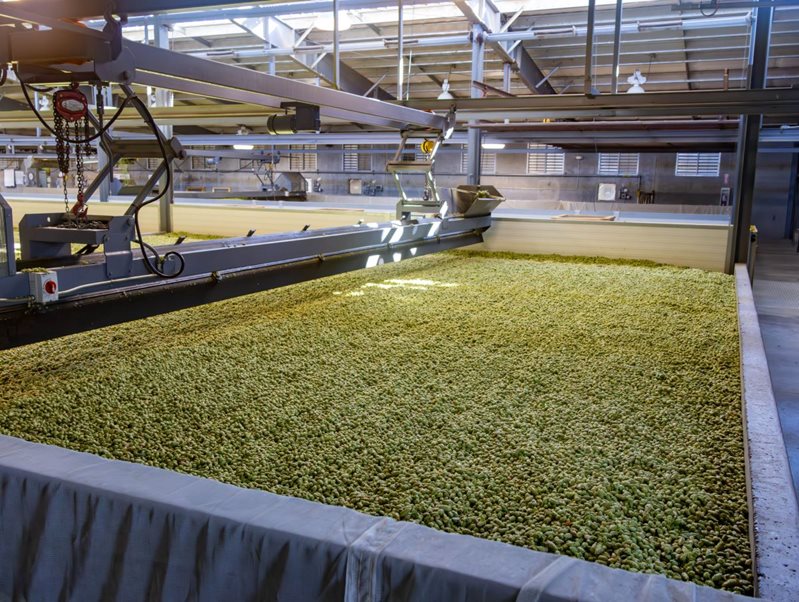 Hop kiln