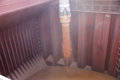 Grain is poured into a shipping container.