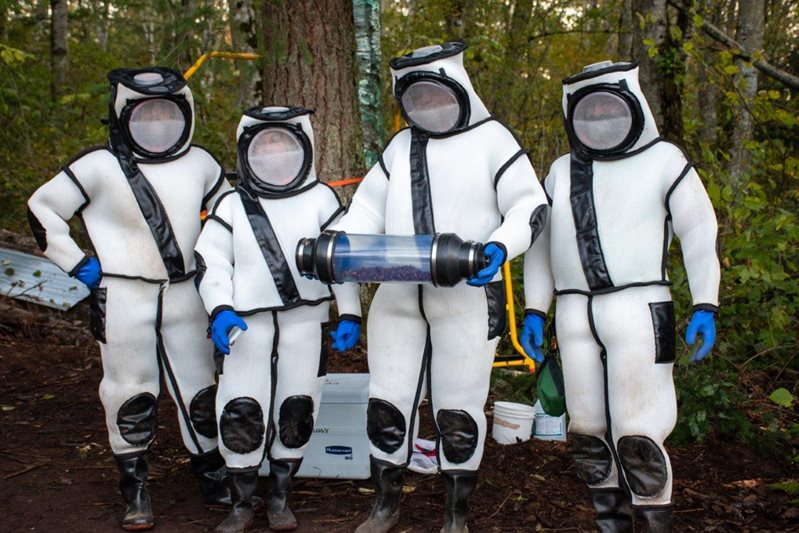 4 people in hornet suits holding a canister with hornets