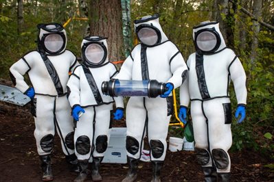 WSDA eradication team with the trapped hornets