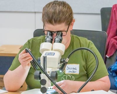 woman looking at bees under microscope