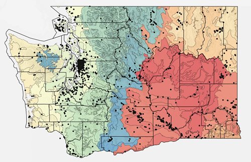 Map of Washington State with dots indicating bee detections