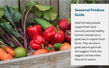 USDA Seasonal Produce Guide