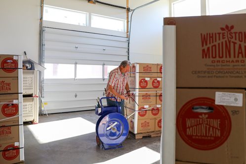 Male farmer stands in apple warehouse.
