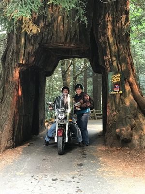 A man and woman with a motorcycle underneath a big tree