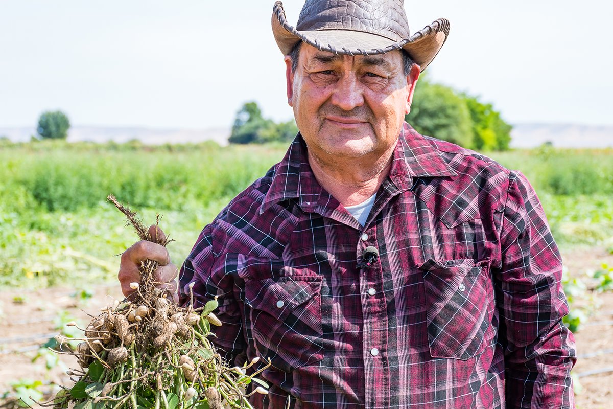 farmer holding peanuts